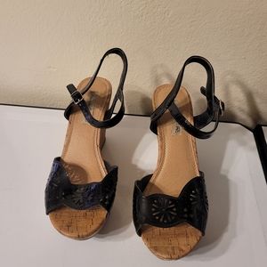 American eagle  wedges